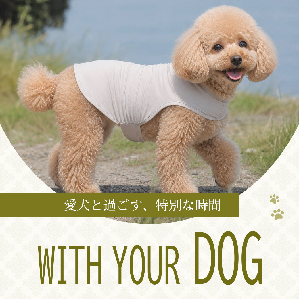 dog2609_10401040.jpg