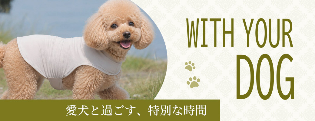 dog2609_topics1040400.jpg