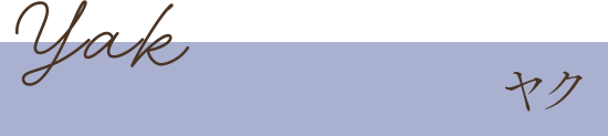ヤク