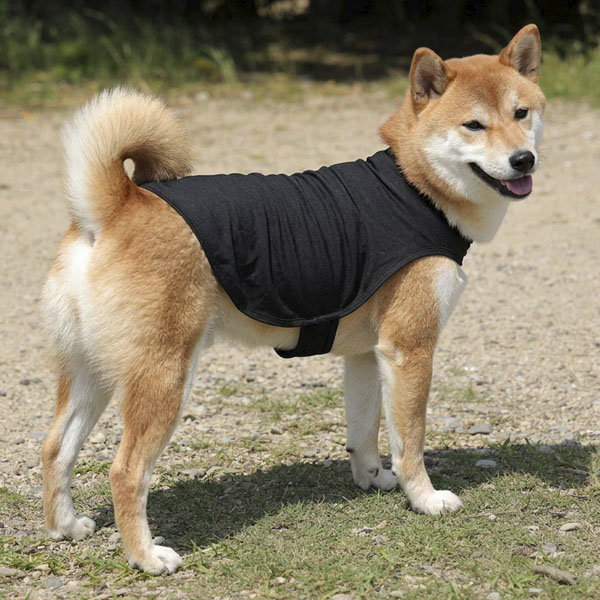 商品イメージ画像