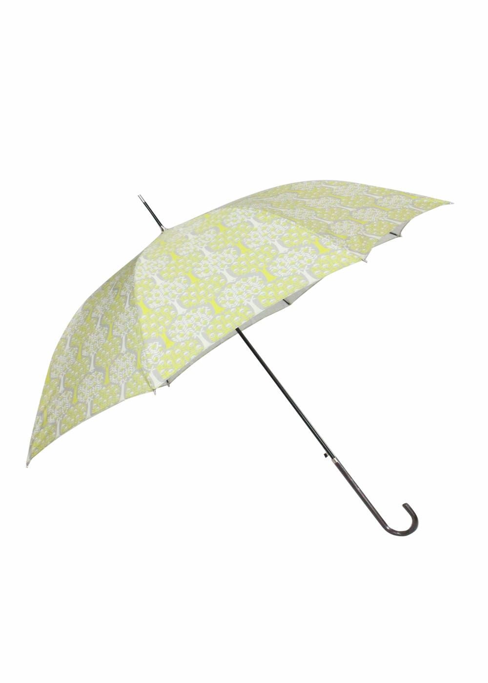 studiopicone-スタジオピッコーネ- P150524 カサ