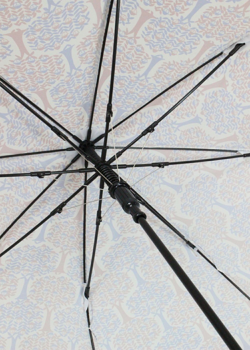 studiopicone-スタジオピッコーネ- P150524 カサ