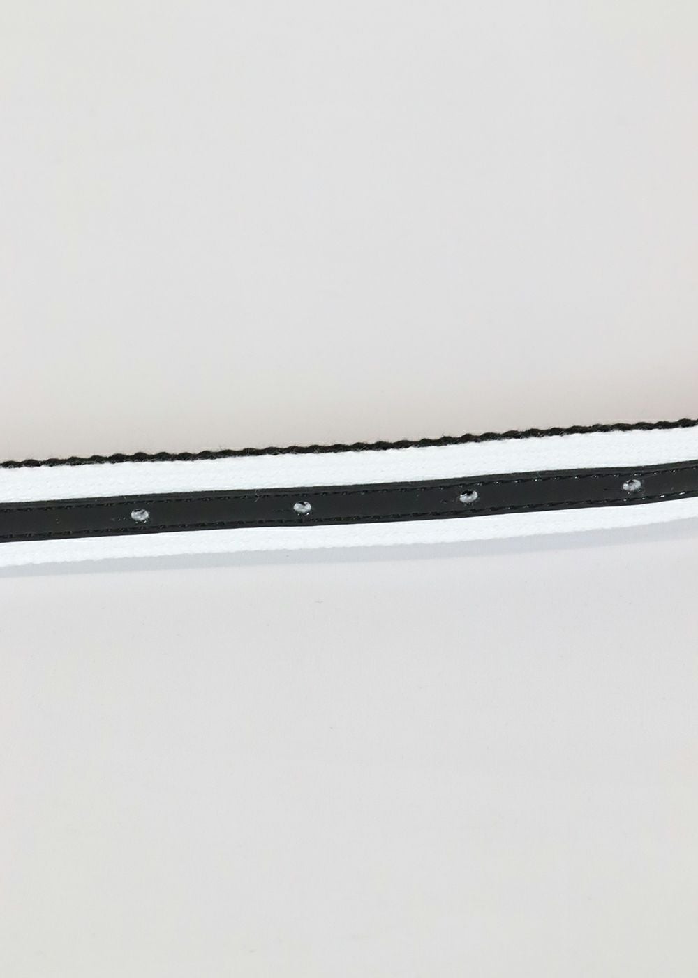 archivio-アルチビオ-A250308 ベルト