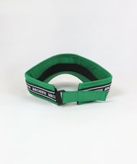 エンブレム風刺繍サンバイザー後（グリーン）