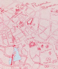 裏地柄（ピンク）