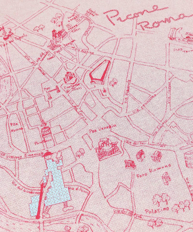 裏地柄（ピンク）