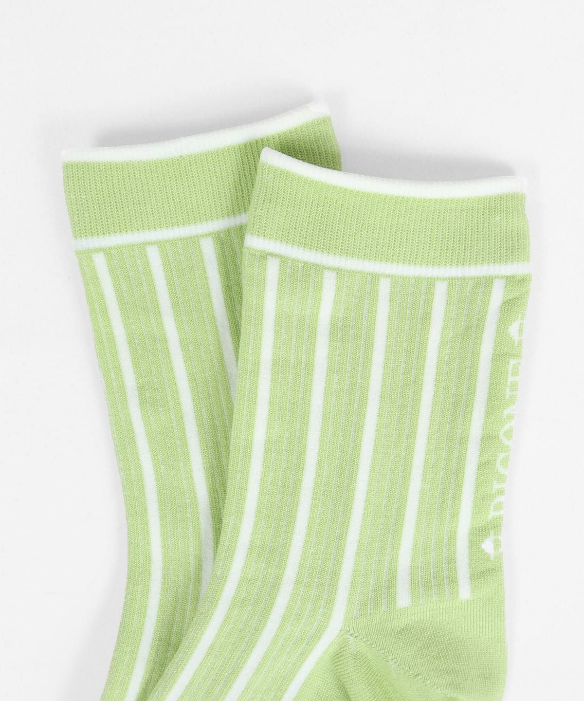 ストライプ柄（ライトグリーン）