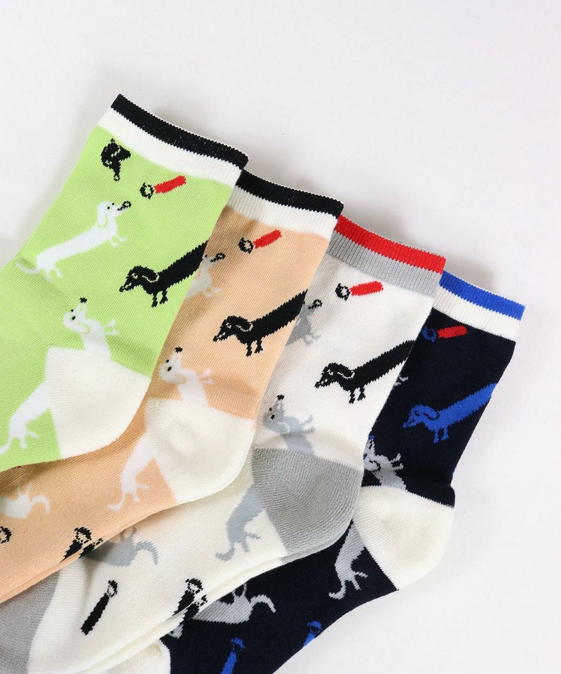 カラーバリエーション