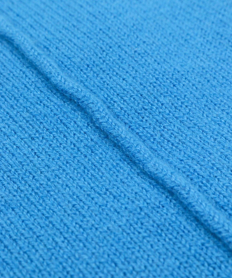 センターライン部分(ライトブルー)