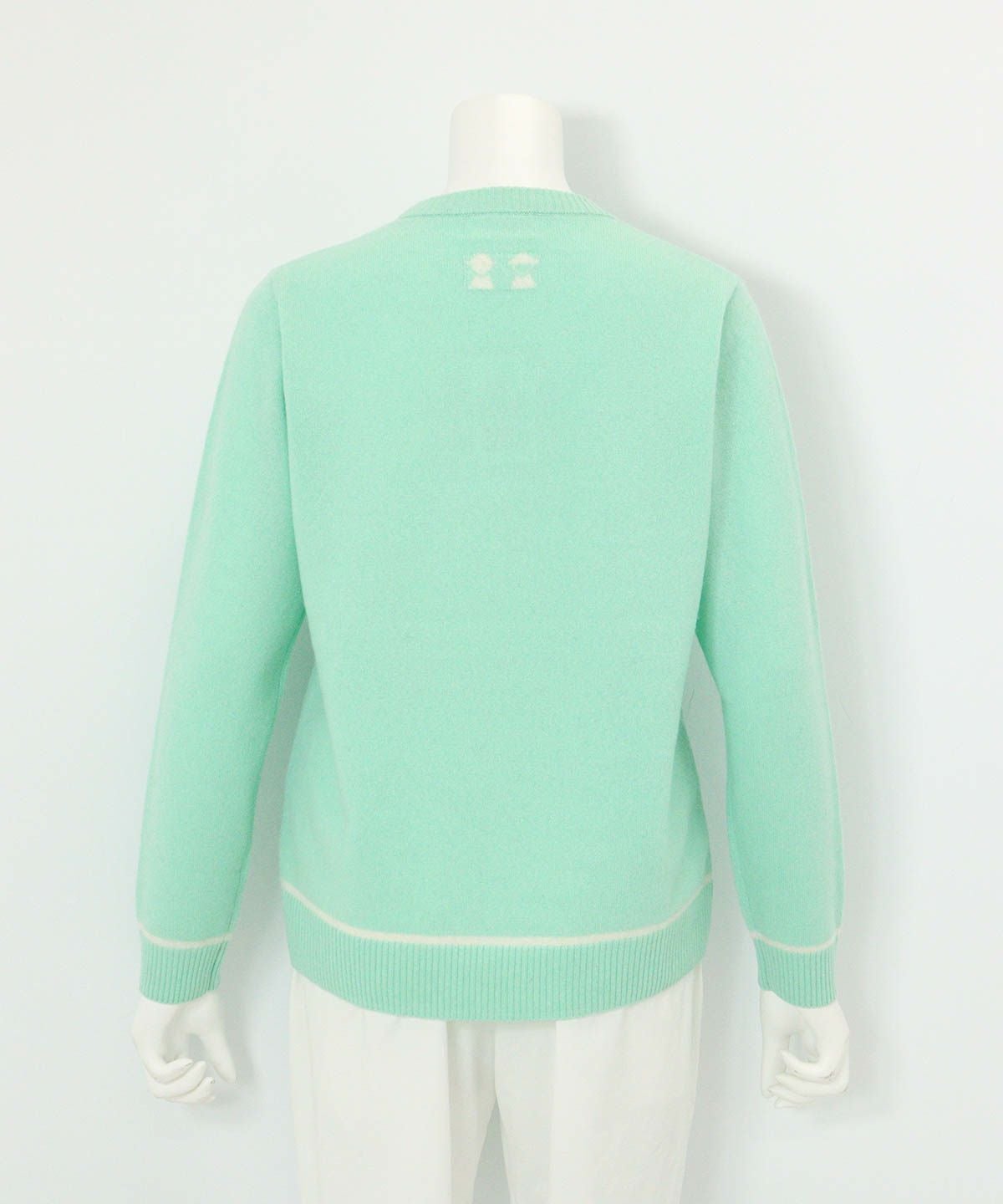 カシミヤ100％ラインニット 後（ライトグリーン）