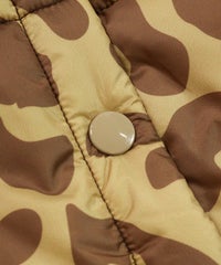 ボタン(レオパード)