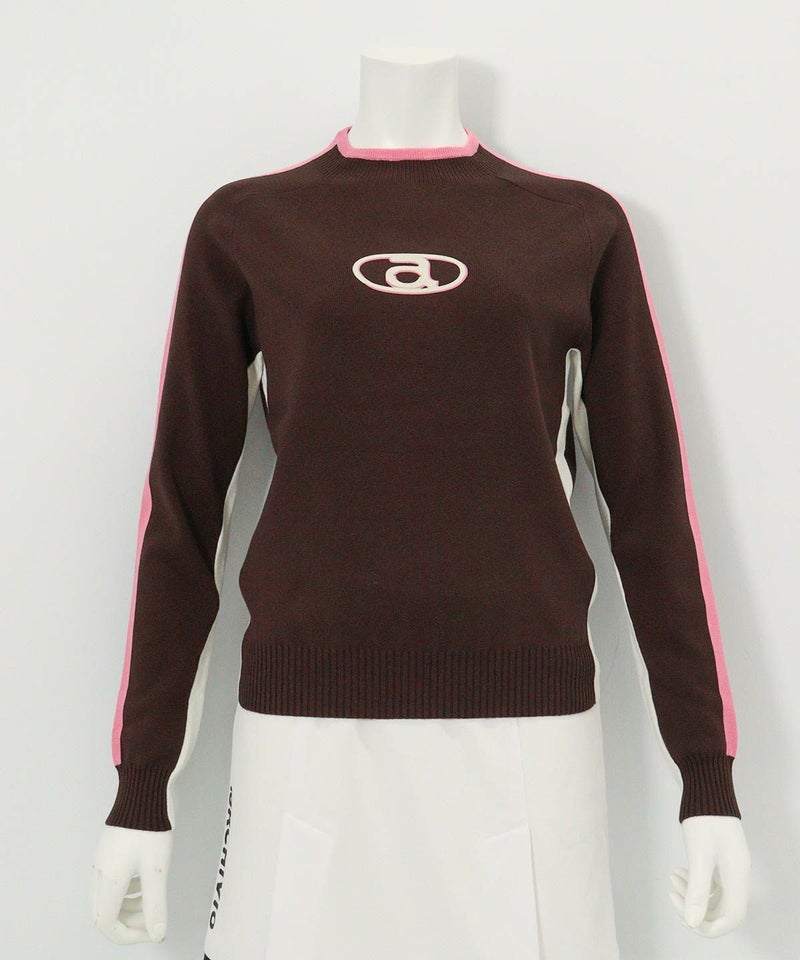 カラーライン配色ニット(ブラウン)前