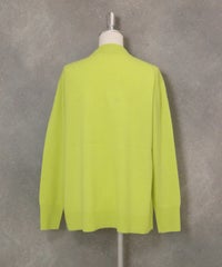 カシミヤ100％ジャガードイラストニット後（ライトグリーン）