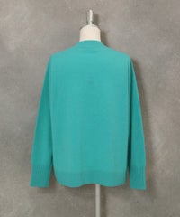 カシミヤ100％ビーズ刺繍ニット後（ライトグリーン）