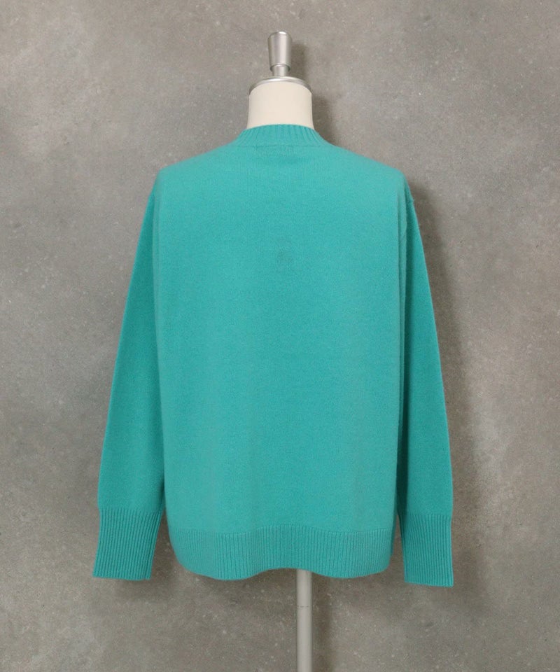 カシミヤ100％ビーズ刺繍ニット後（ライトグリーン）