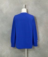 フロッキーロゴニット（ブルー）後ろ