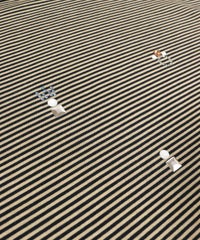 ビジュー部分（ベージュ）