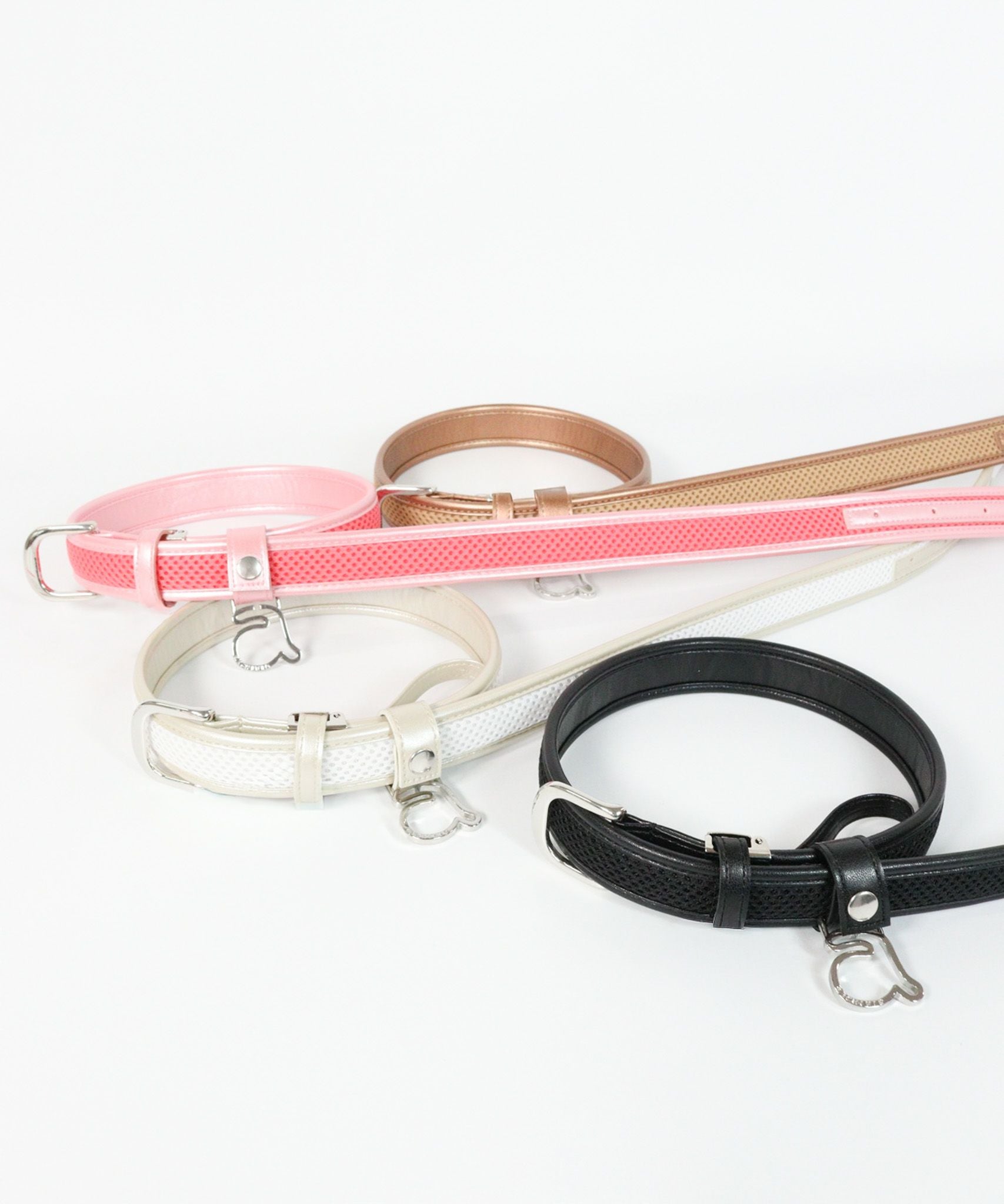 カラーバリエーション