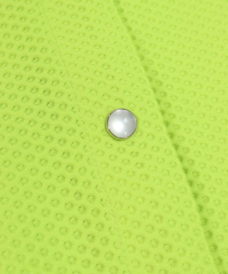 シルバーカラーのボタン（ライトグリーン）